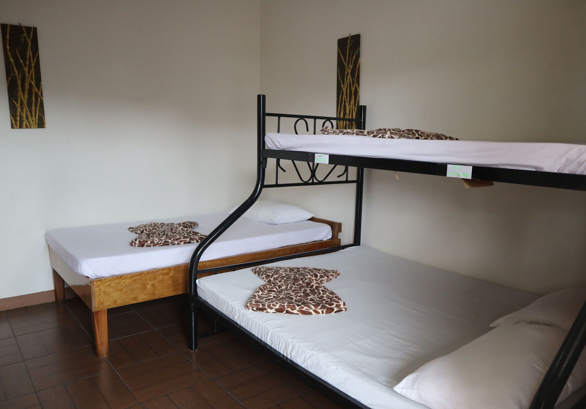 Pacific Waves Inn บาแลร์ ภายนอก รูปภาพ